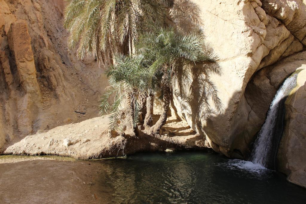 Dar Saida Beya 호텔 토져 외부 사진